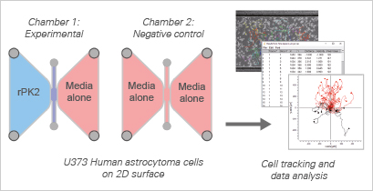 chemotaxis_fig_03.jpg